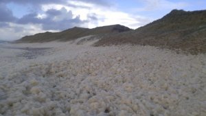 SAVE_20191028_160029.jpeg SAVE_20191028_160029.jpeg