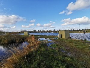 IMG_20191028_100617.jpg IMG_20191028_100617.jpg