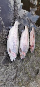 IMG-20191028-WA0016.jpeg IMG-20191028-WA0016.jpeg