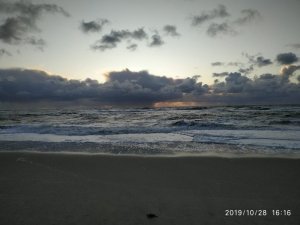 IMG-20191028-WA0038.jpg IMG-20191028-WA0038.jpg