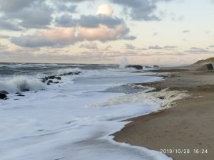 IMG-20191028-WA0036.jpg IMG-20191028-WA0036.jpg