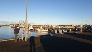 IMG-20191029-WA0008.jpg IMG-20191029-WA0008.jpg