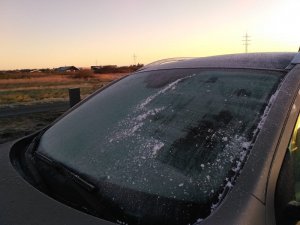 IMG-20191029-WA0007.jpg IMG-20191029-WA0007.jpg