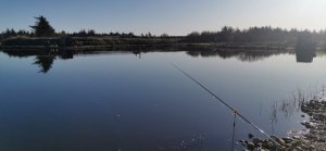 IMG-20191029-WA0009.jpeg IMG-20191029-WA0009.jpeg