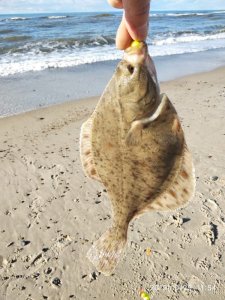 IMG-20191029-WA0012.jpg IMG-20191029-WA0012.jpg