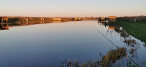 IMG-20191029-WA0016.jpeg IMG-20191029-WA0016.jpeg