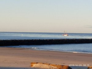 IMG-20191029-WA0006.jpg IMG-20191029-WA0006.jpg