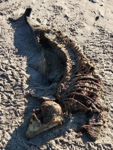 IMG-20191029-WA0025.jpg IMG-20191029-WA0025.jpg