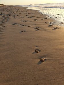 IMG-20191029-WA0043.jpg IMG-20191029-WA0043.jpg