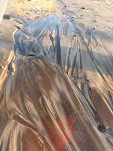 IMG-20191029-WA0047.jpg IMG-20191029-WA0047.jpg