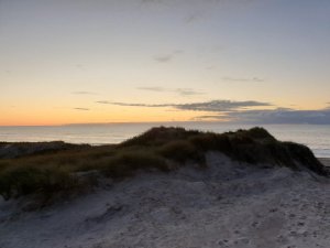 IMG-20191029-WA0038.jpg IMG-20191029-WA0038.jpg