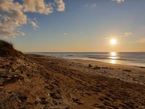 IMG-20191029-WA0049.jpg IMG-20191029-WA0049.jpg