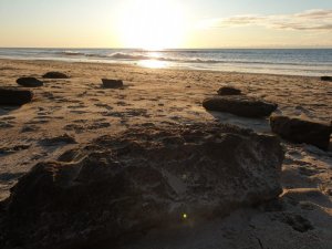 IMG-20191029-WA0051.jpg IMG-20191029-WA0051.jpg