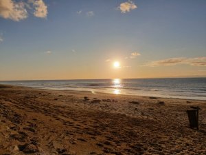 IMG-20191029-WA0050.jpg IMG-20191029-WA0050.jpg