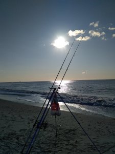 IMG_20191029_141353.jpg IMG_20191029_141353.jpg