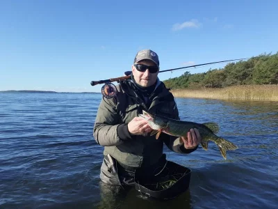 20191029_125504.webp 20191029_125504.webp