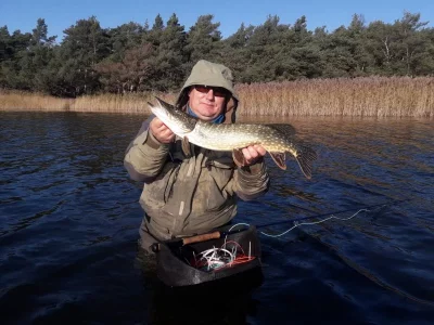 IMG-20191029-WA0014.webp IMG-20191029-WA0014.webp