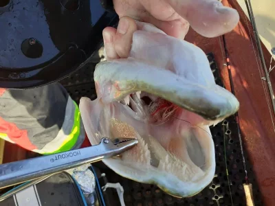 20191030_142249.webp 20191030_142249.webp