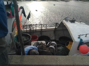 IMG_20191101_100146.jpg IMG_20191101_100146.jpg