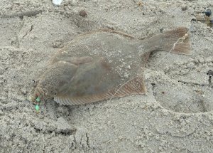 IMG_20191101_093101.jpg IMG_20191101_093101.jpg