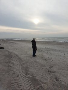 IMG-20191101-WA0017.jpg IMG-20191101-WA0017.jpg