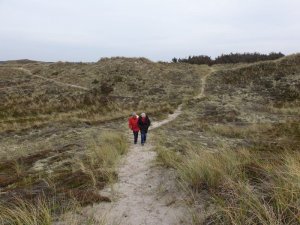 IMG-20191101-WA0016.jpg IMG-20191101-WA0016.jpg