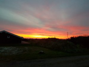 IMG-20191101-WA0000.jpg IMG-20191101-WA0000.jpg