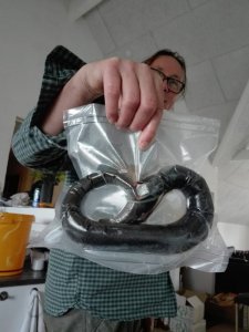 IMG-20191101-WA0005.jpg IMG-20191101-WA0005.jpg