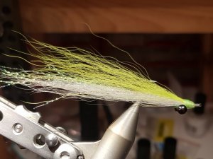 20191103_192025.jpg 20191103_192025.jpg