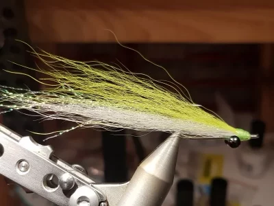 20191103_192025.webp 20191103_192025.webp