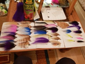 20191022_225711.jpg 20191022_225711.jpg