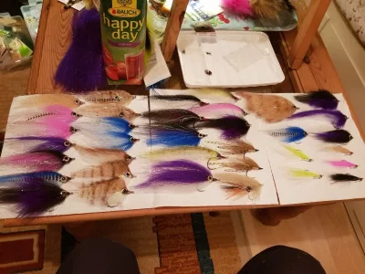 20191022_225711.webp 20191022_225711.webp