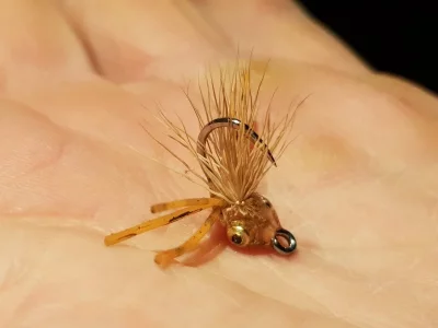 20191015_192541.webp 20191015_192541.webp