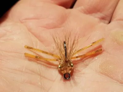 20191015_192531.webp 20191015_192531.webp