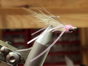 20191107_180345.jpg 20191107_180345.jpg