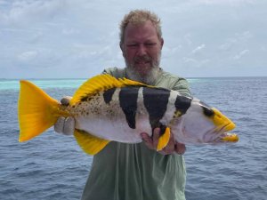 WhatsApp Image 2019-10-26 at 11.40.25.jpeg WhatsApp Image 2019-10-26 at 11.40.25.jpeg