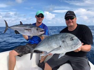 WhatsApp Image 2019-10-26 at 11.40.26(1).jpeg WhatsApp Image 2019-10-26 at 11.40.26(1).jpeg