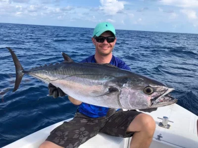 WhatsApp Image 2019-10-26 at 11.40.26(2).webp WhatsApp Image 2019-10-26 at 11.40.26(2).webp