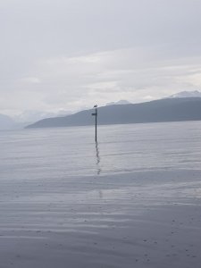 20190605_120330 (1).jpg