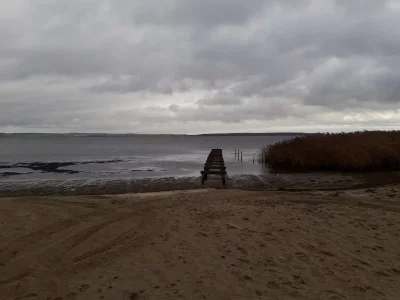 20191119_122949.webp 20191119_122949.webp