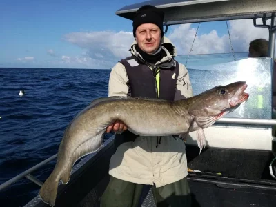 IMG_20190815_101840.webp IMG_20190815_101840.webp