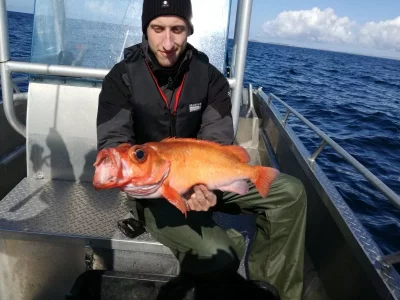 IMG_20190815_120643.webp IMG_20190815_120643.webp