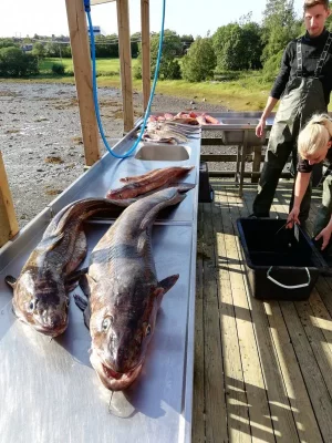 IMG_20190815_181317.webp IMG_20190815_181317.webp