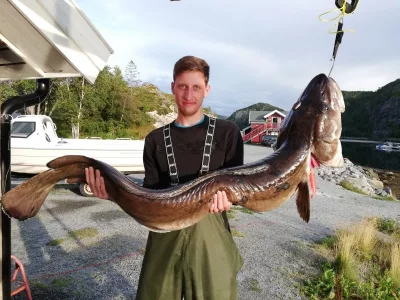 IMG_20190819_190312.webp IMG_20190819_190312.webp