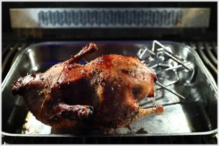 AK0A1173.comp.webp AK0A1173.comp.webp