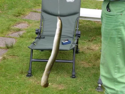 Beerdigung und Nachtangeln 011.webp