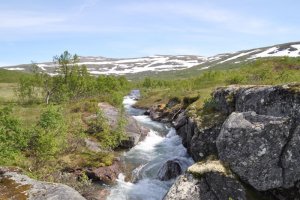 DSC_0375.JPG DSC_0375.JPG