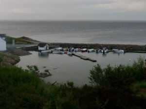 P1010210.jpg P1010210.jpg