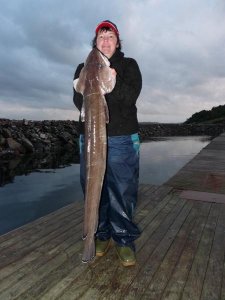 P1010147.jpg P1010147.jpg