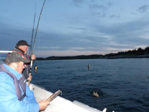 P1010182.jpg P1010182.jpg